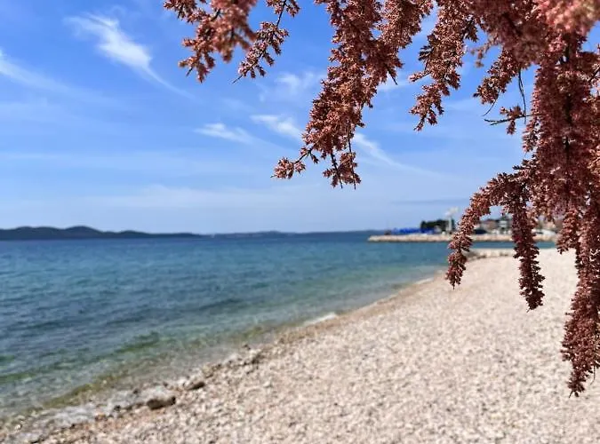 Modern Mediterranean Superior *